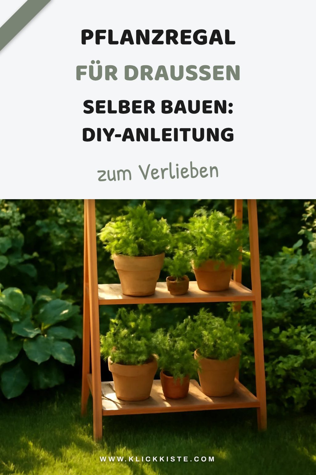 Schritt 5