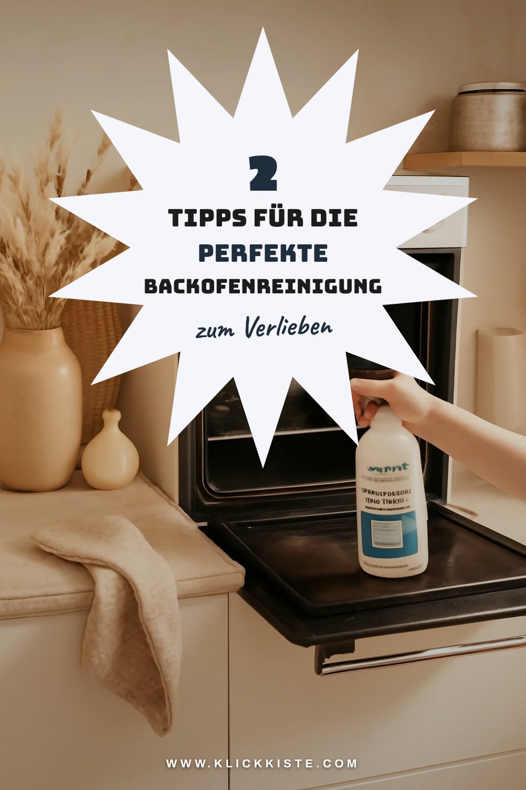 So reinigst du deinen Backofen mit Prowin Backofenreiniger