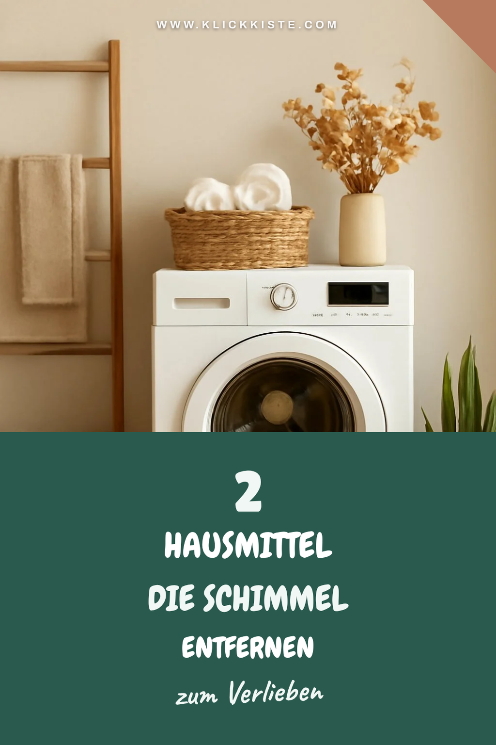 Endlich Schluss mit Schimmel: 5 einfache Hausmittel