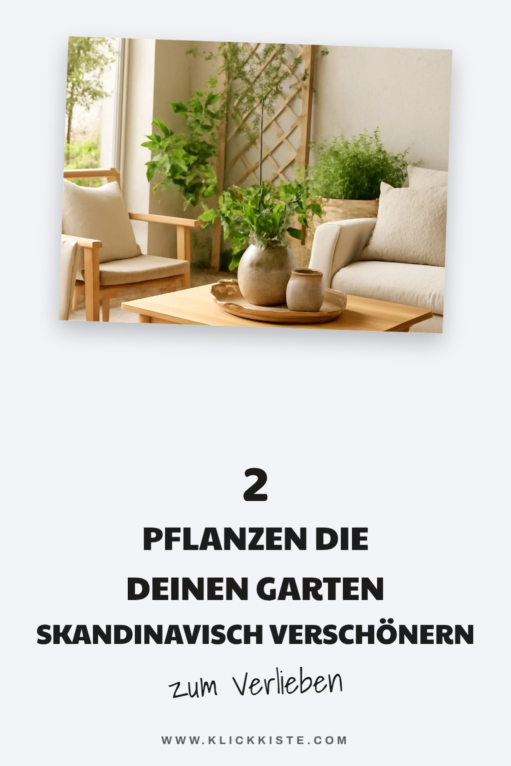 Diese Pflanzen bringen skandinavisches Flair