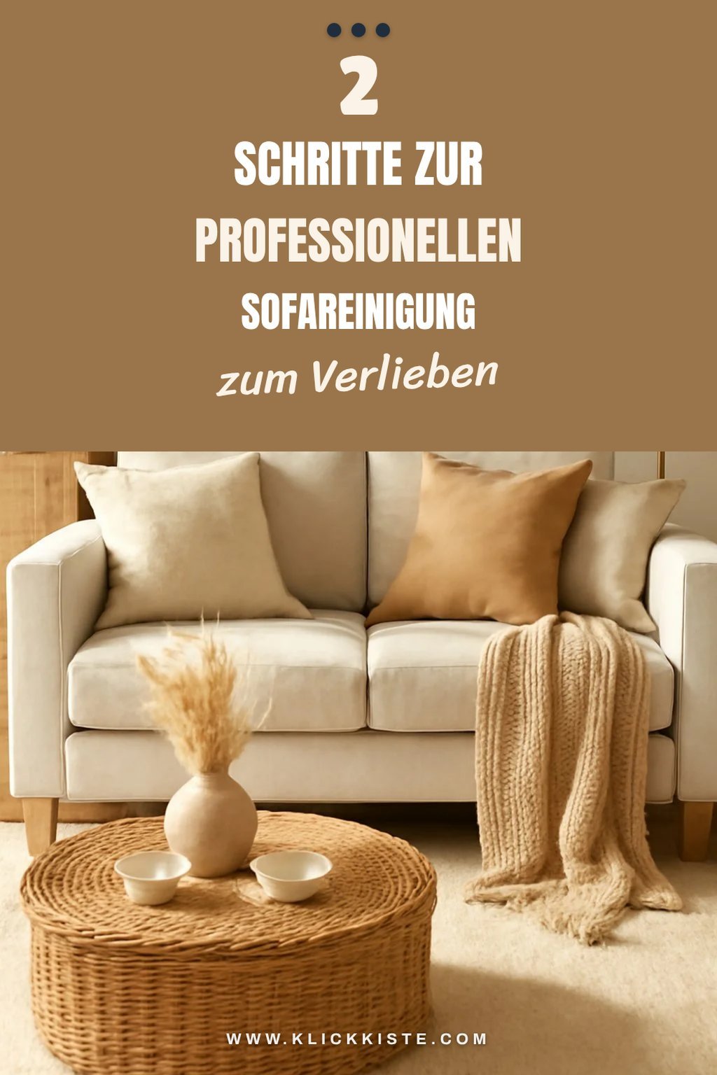 Professionelle Sofa-Reinigung