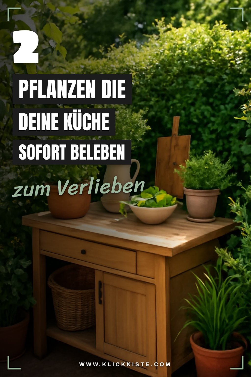 So bringst du deine Küche mit Pflanzen zum Strahlen