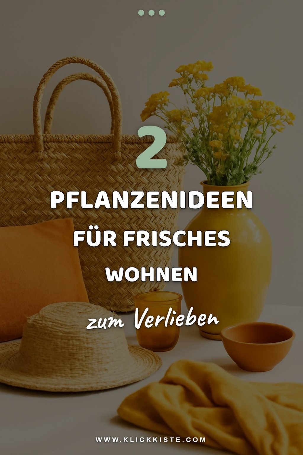 Mit Pflanzen das Sommerfeeling verstärken