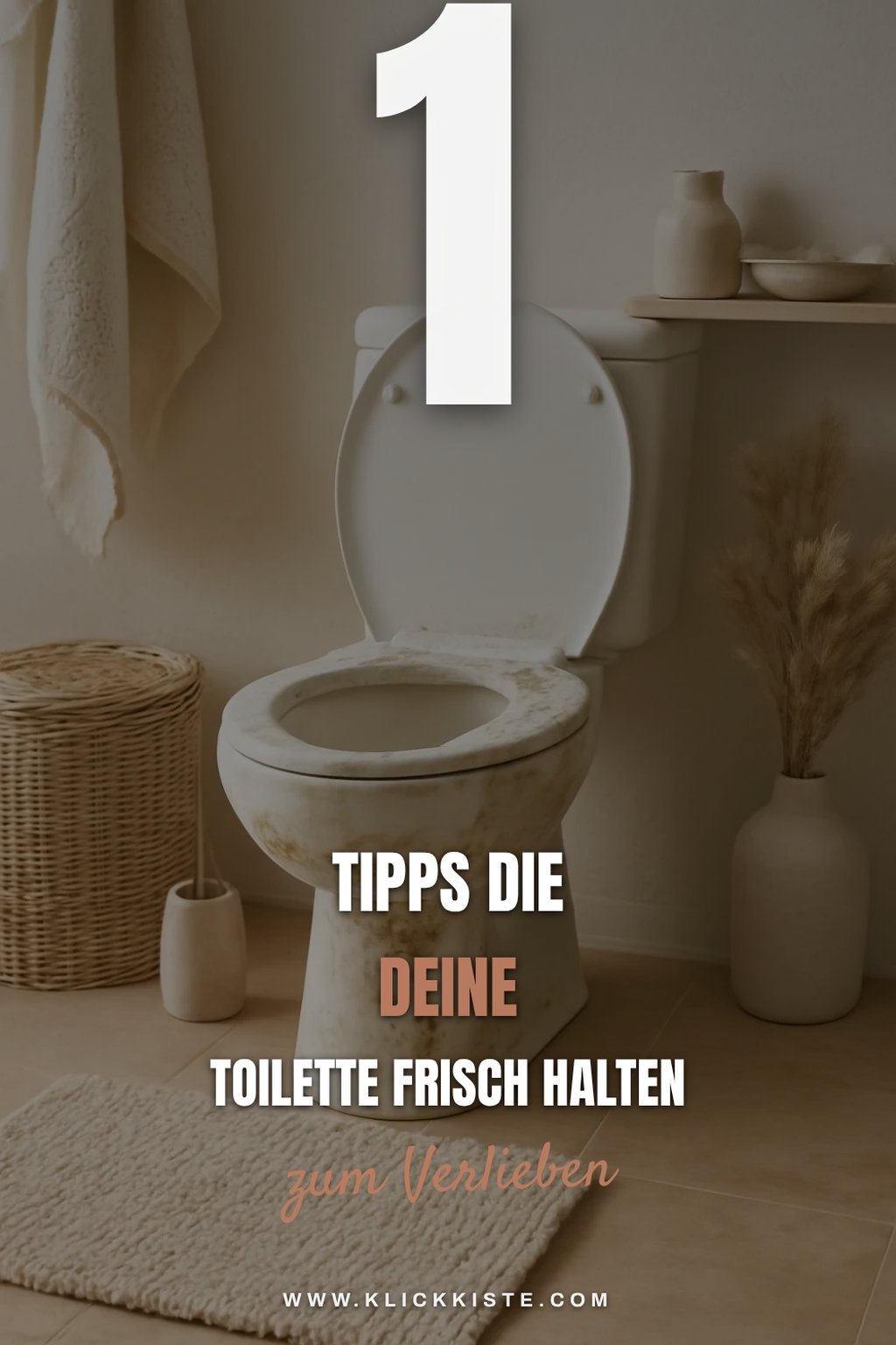 Mehr Empfehlungen aus dieser Kategorie