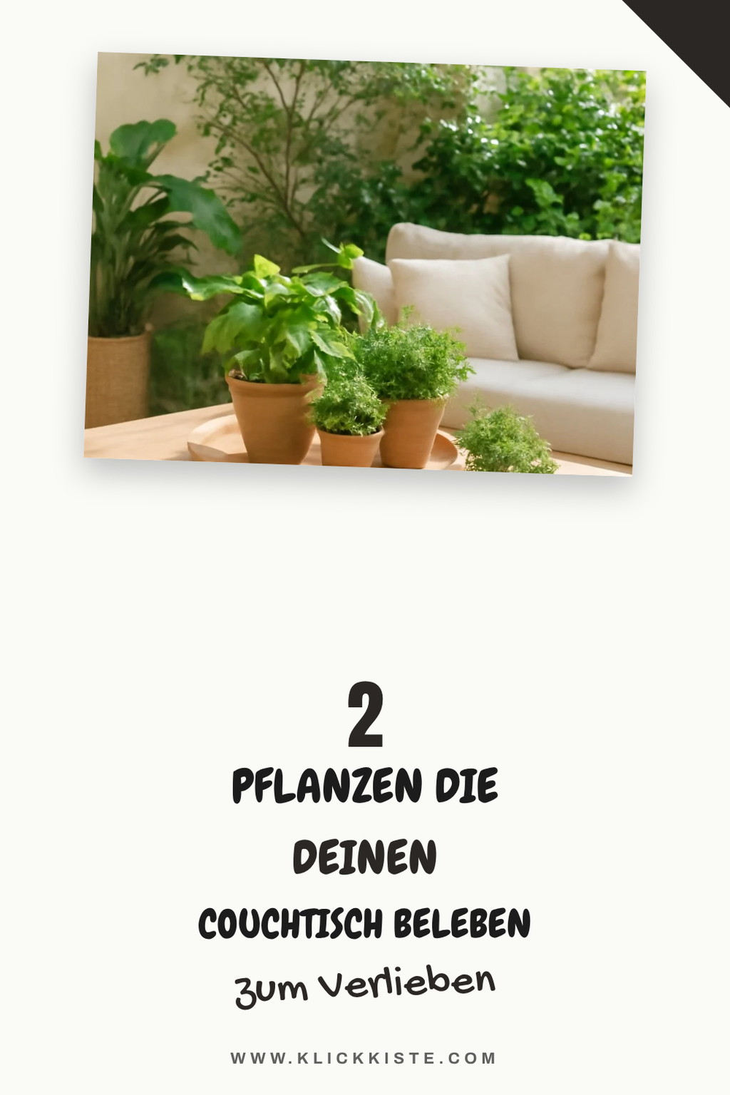 So gestaltest du deinen Couchtisch mit Pflanzen