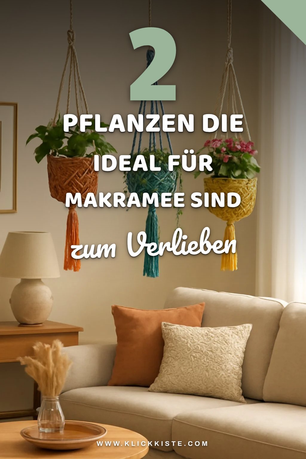 Welche Pflanzen eignen sich am besten für Makramee-Blumenampeln?