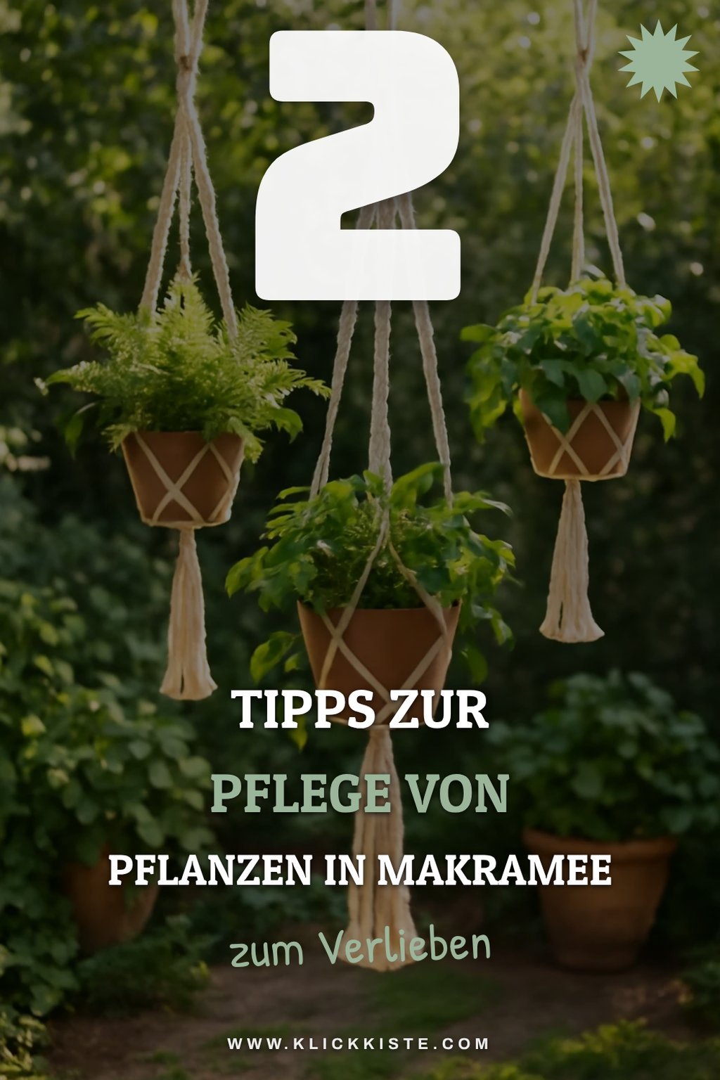 So pflegst du deine Pflanzen in Makramee-Blumenampeln
