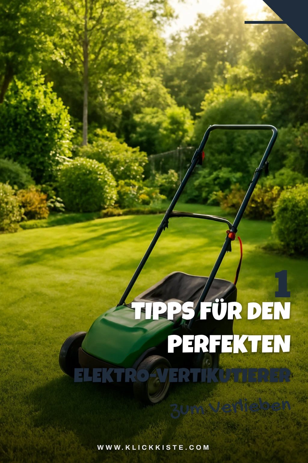 So findest du den besten Elektro-Vertikutierer für deinen Garten