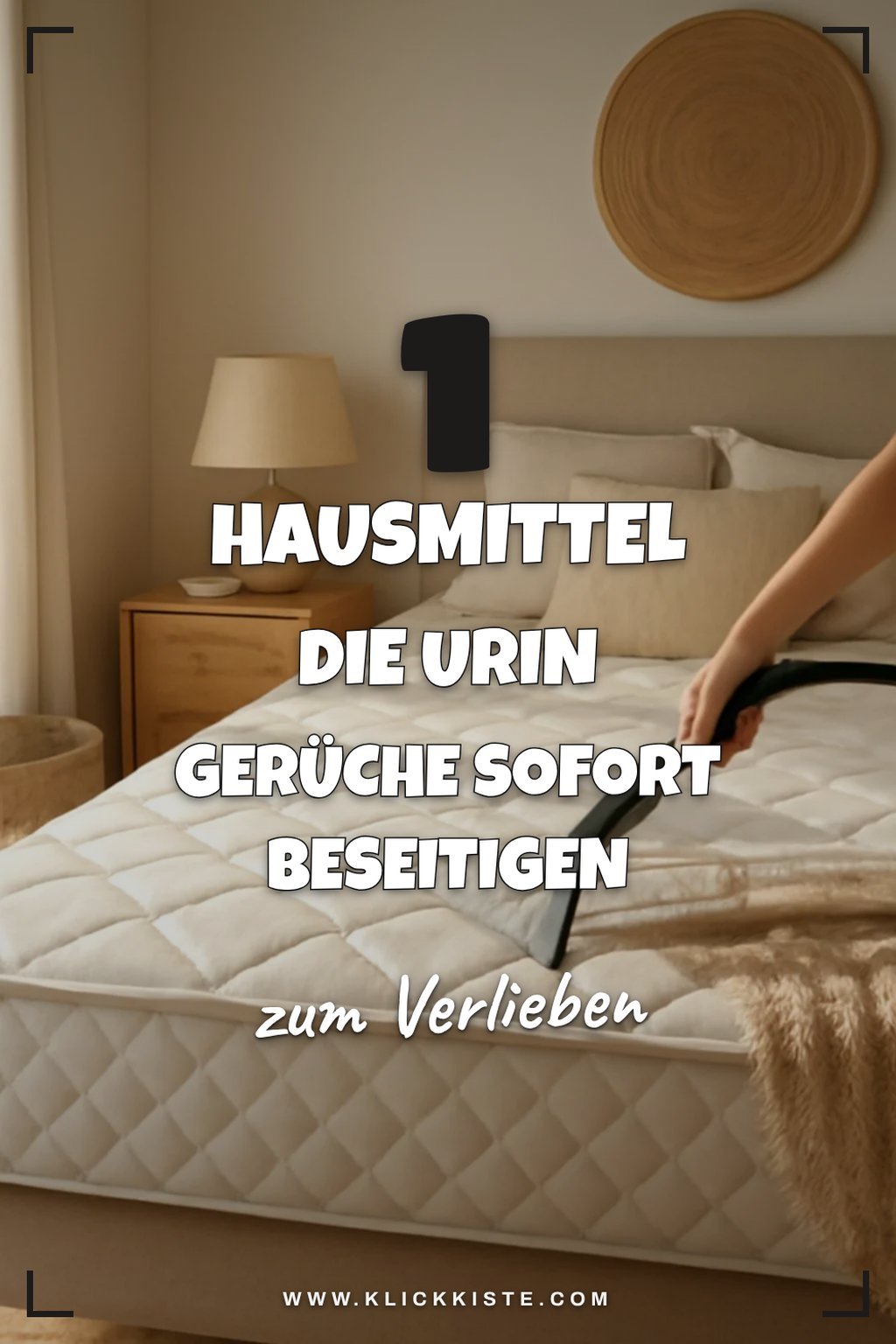 Mehr Empfehlungen aus dieser Kategorie