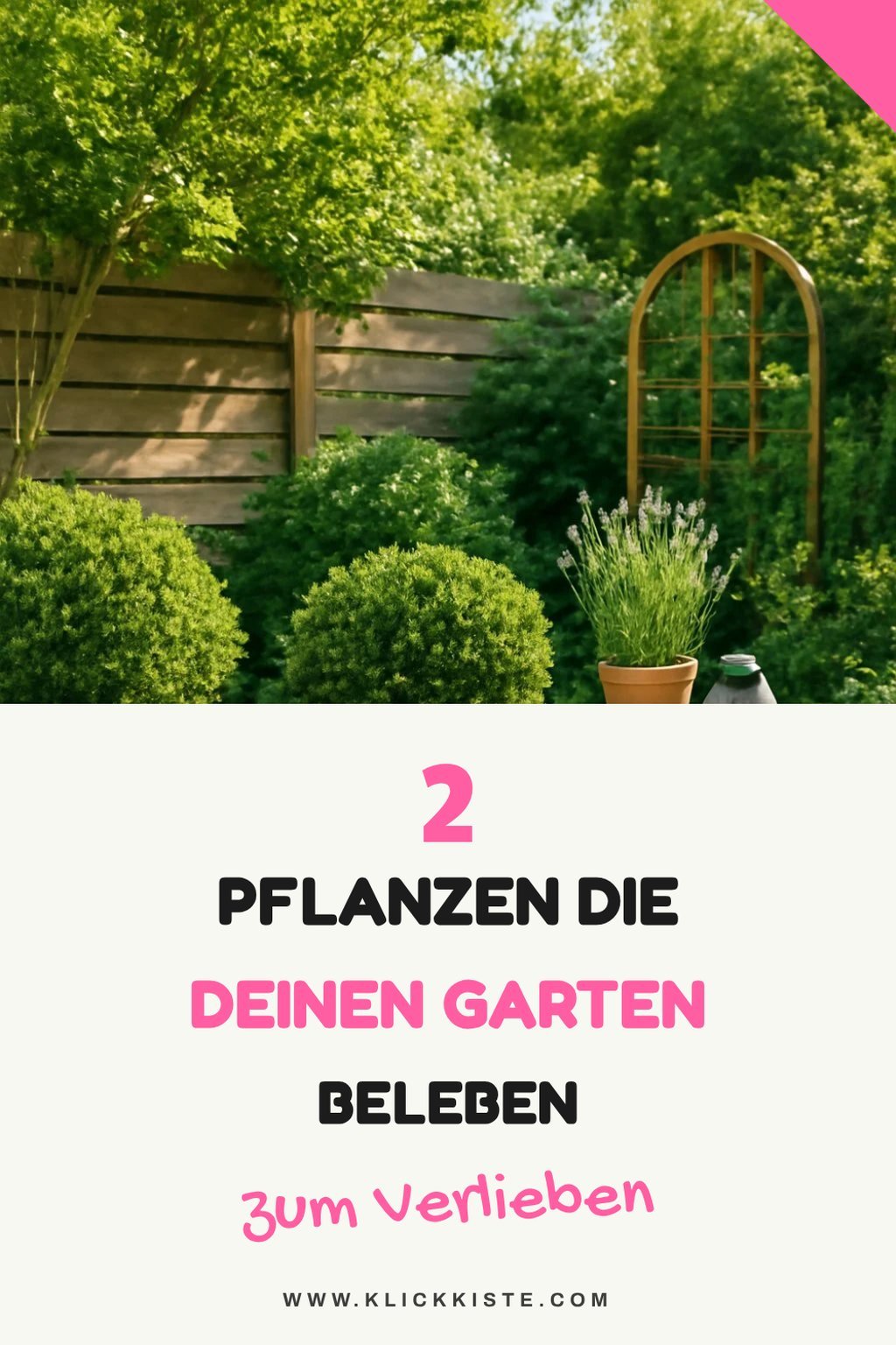 Günstige Pflanzen für deinen Garten