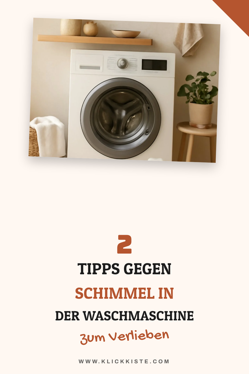 So vermeidest du Schimmel in der Waschmaschine