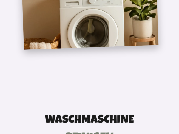 Waschmaschine Reinigen Programm: Die besten Tipps & Hausmittel