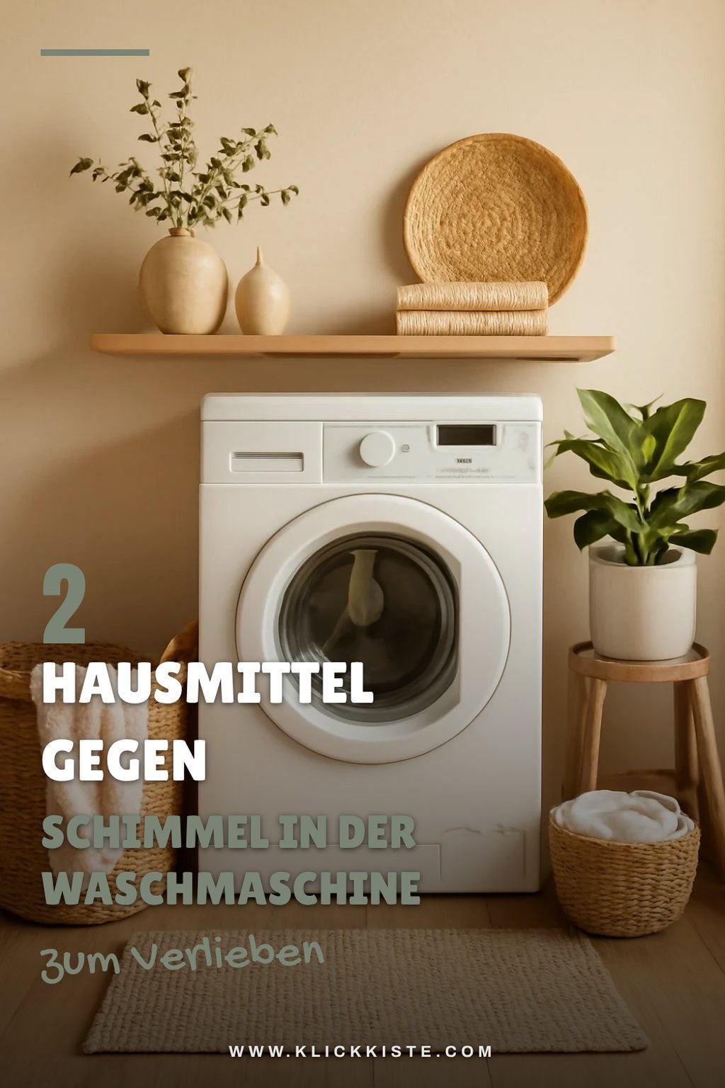 Diese Hausmittel helfen gegen Schimmelbildung