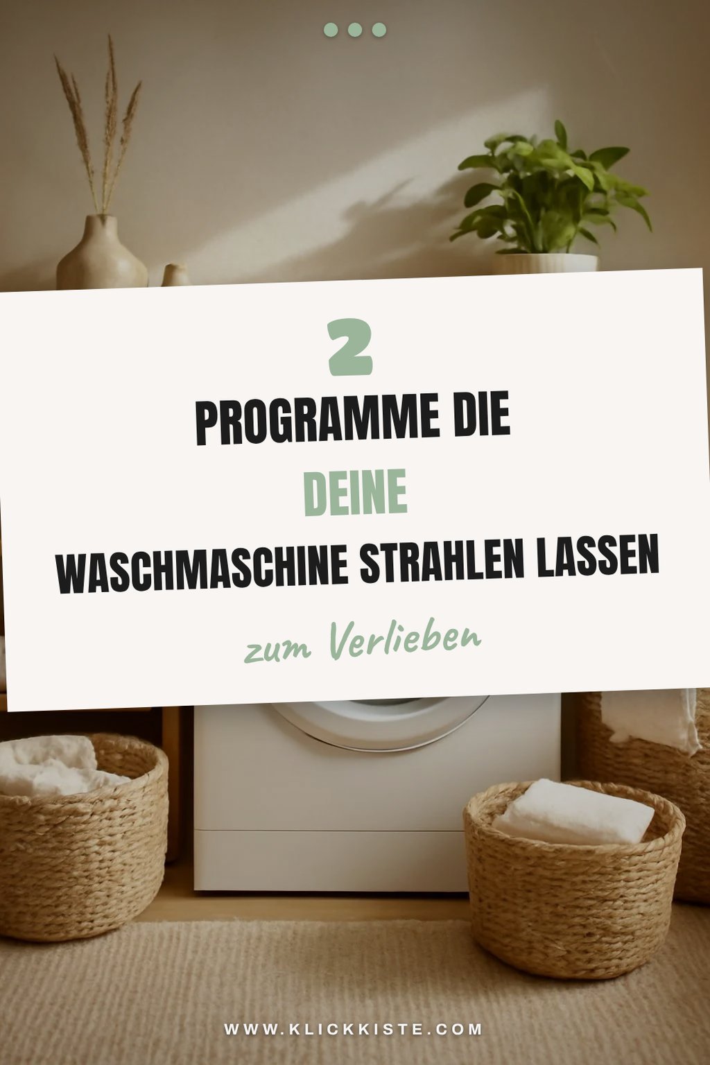 Programme für die gründliche Waschmaschinenreinigung