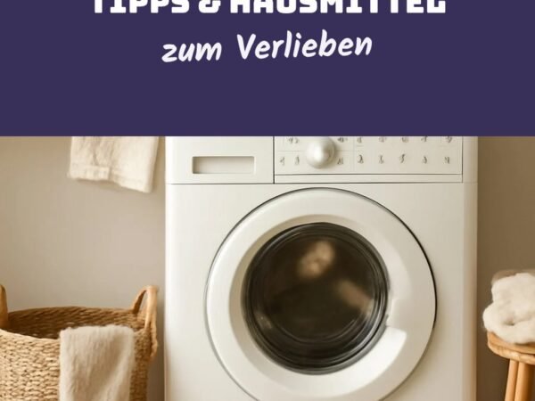 Waschmaschinenreiniger Miele: Die besten Tipps & Hausmittel