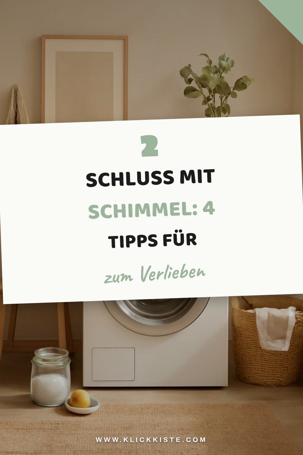 Tipps zur Vermeidung von Schimmel und Gerüchen