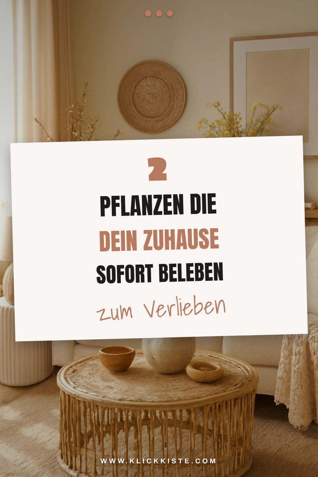 Blühende Pflanzen für ein frühlingsfrisches Zuhause