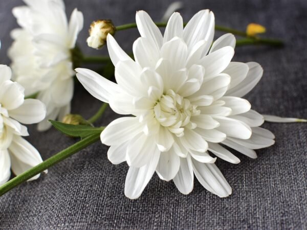 10 Herbstdeko-Ideen fürs Wohnzimmer