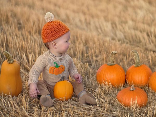 8 Bastelideen mit Kindern für den Herbst