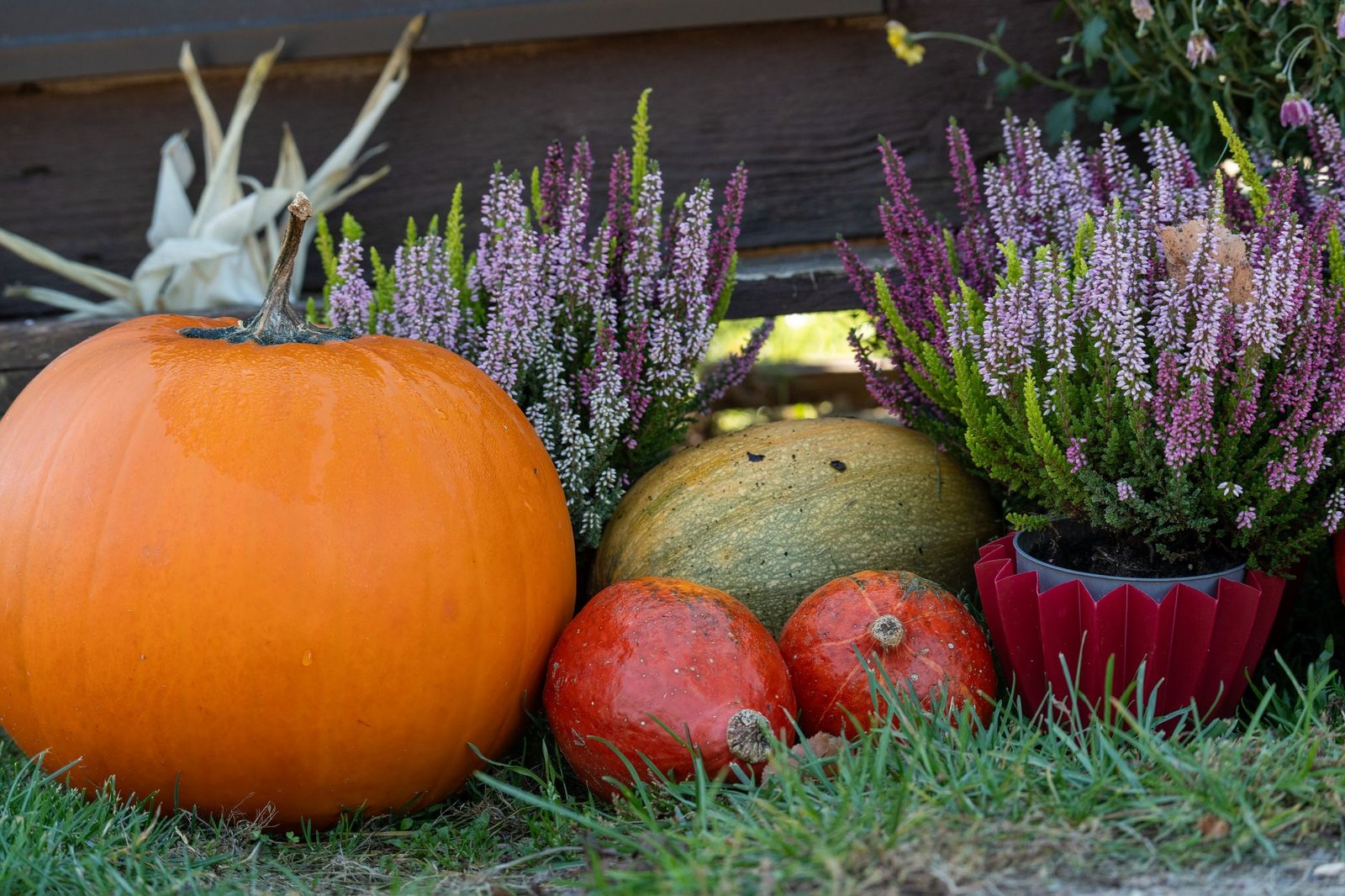 Herbstdeko draußen Minimalistisch: einfach erklärt — Hero-Aufnahme