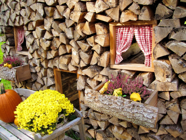Herbstliche Fensterdeko mit Kindern basteln