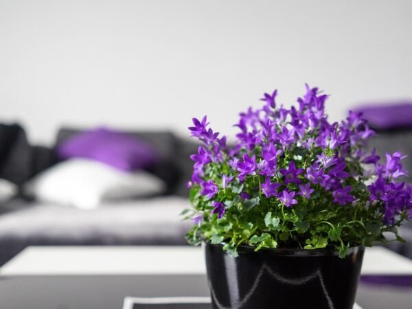 Makramee Ideen Wohnaccessoires — 19 einfache Varianten