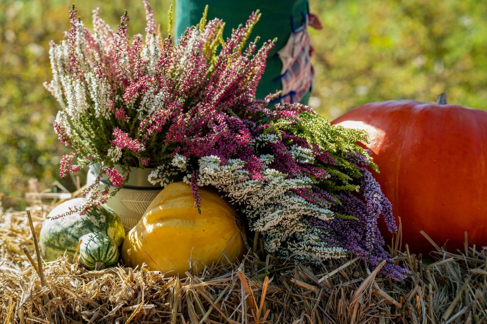 Nachhaltige Herbstdeko Outdoor: worauf es wirklich ankommt — Hero-Aufnahme