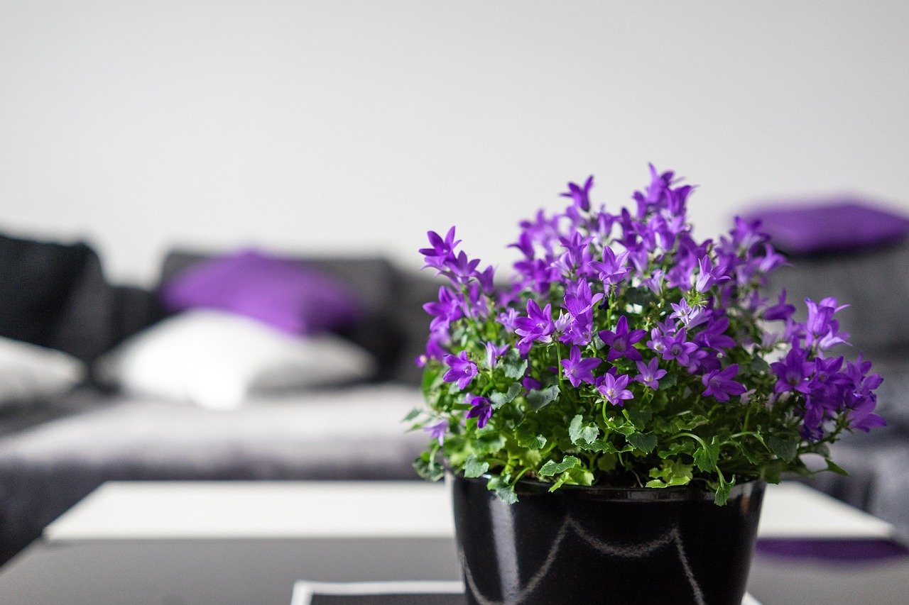 Valentinstag Dekoration mit Naturmaterialien