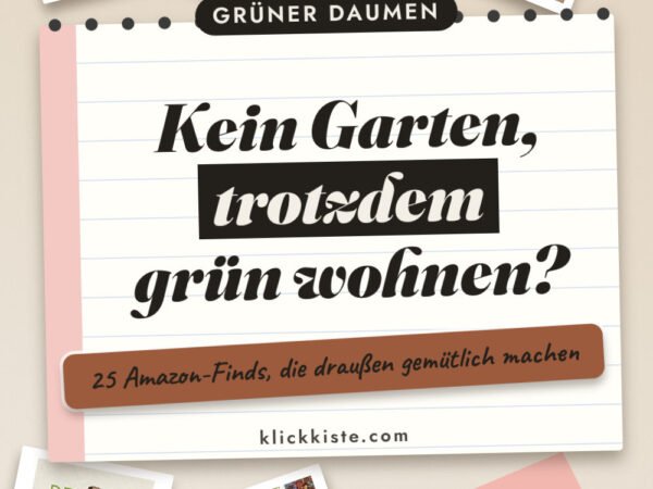 Kreative kleinen Garten gestalten: 25 Amazon-Finds